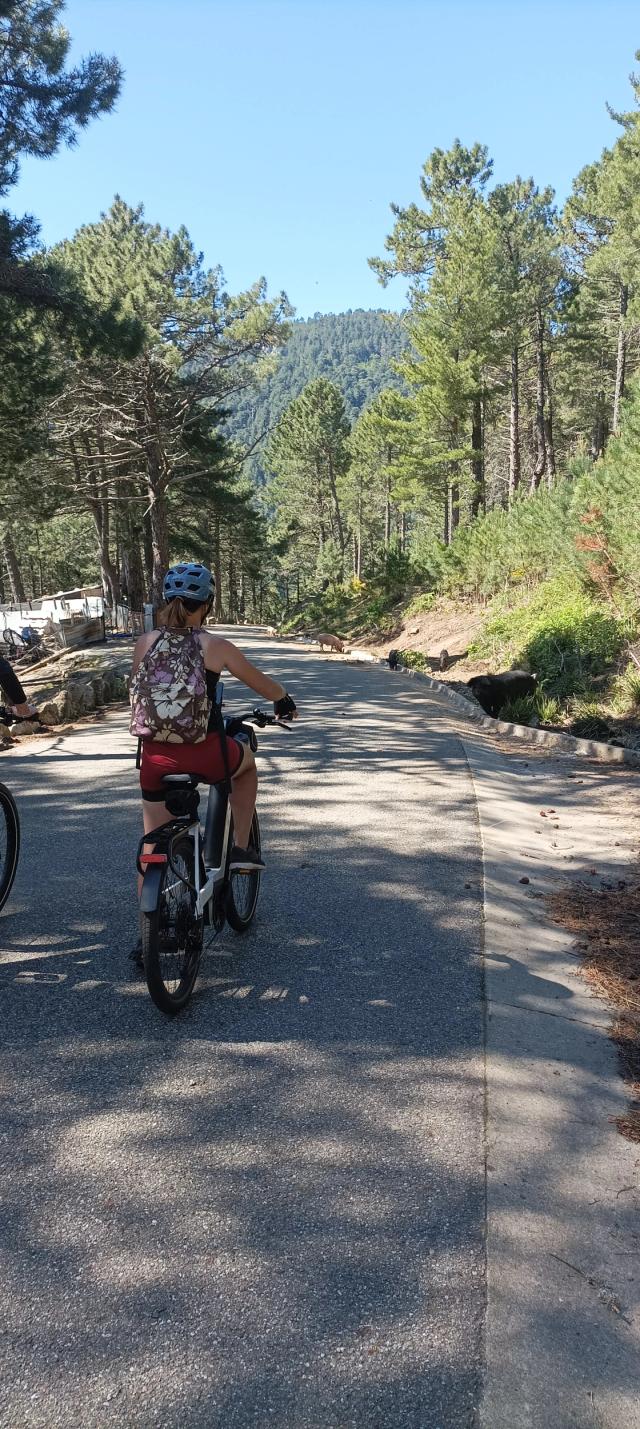 Photo étape - Jour 5: <p>65 km</p>